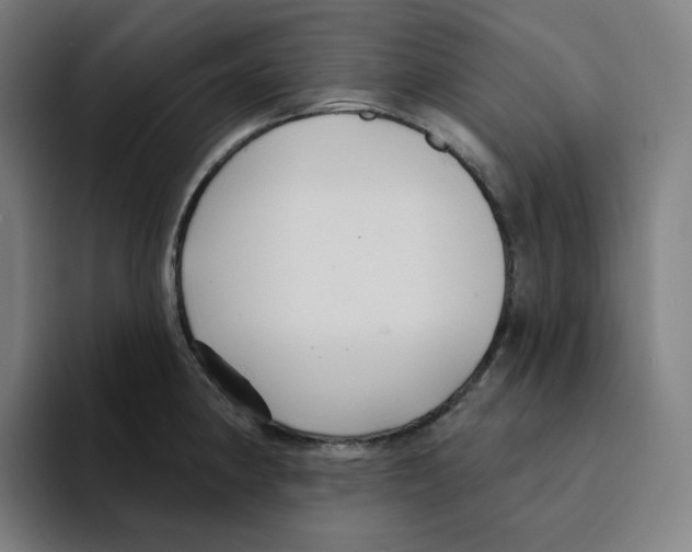 X0000094921190200712271526