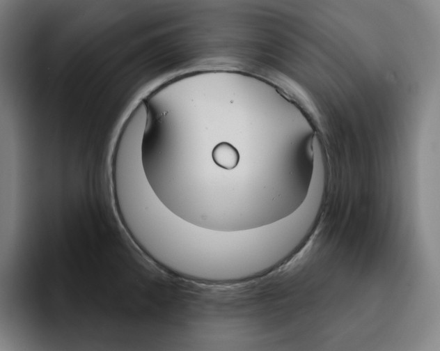 X0000094921192200712271526
