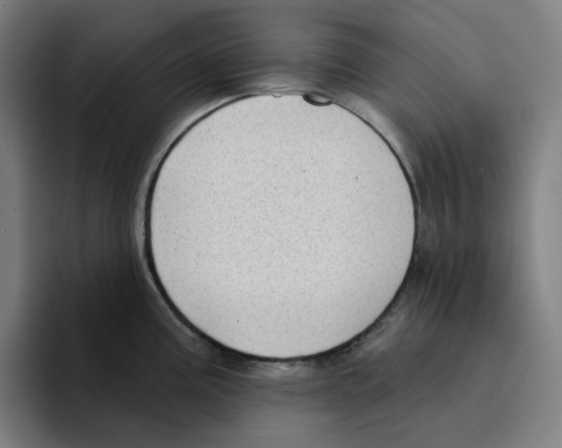X0000094921195200712271526