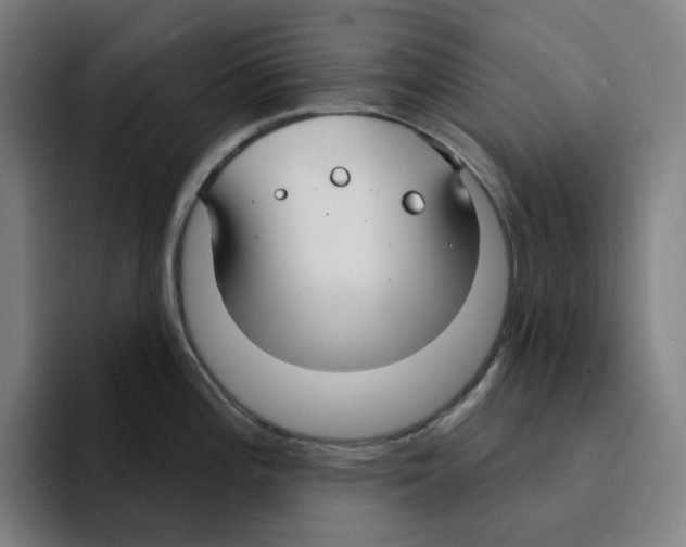 X0000094921196200712271526