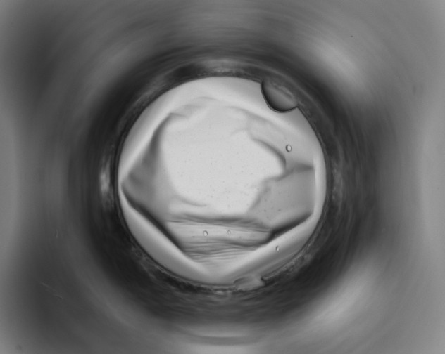 X0000094921198200712271526