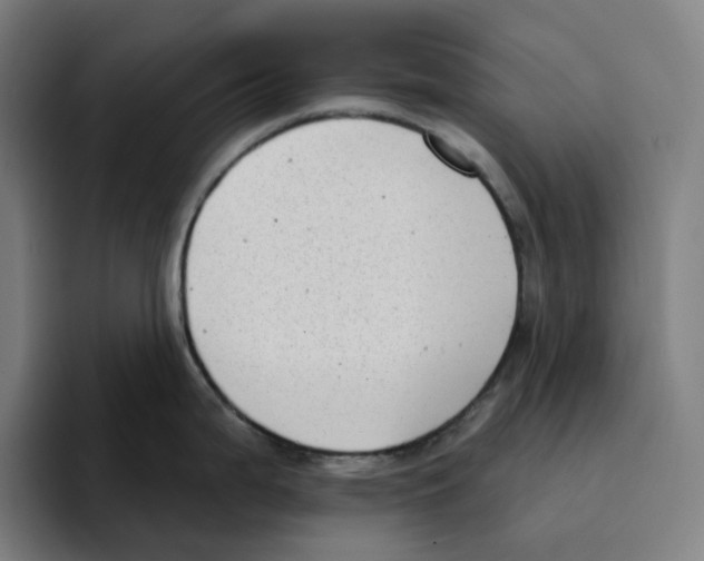 X0000094921199200712271526