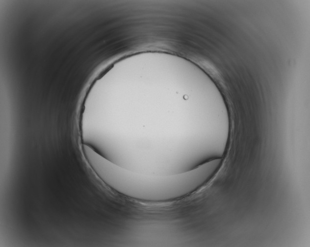 X0000094921200200712271526