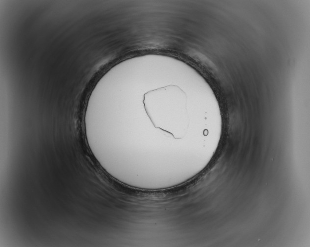 X0000094921210200712271526