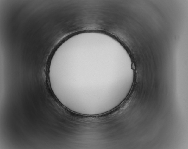 X0000094921212200712271526
