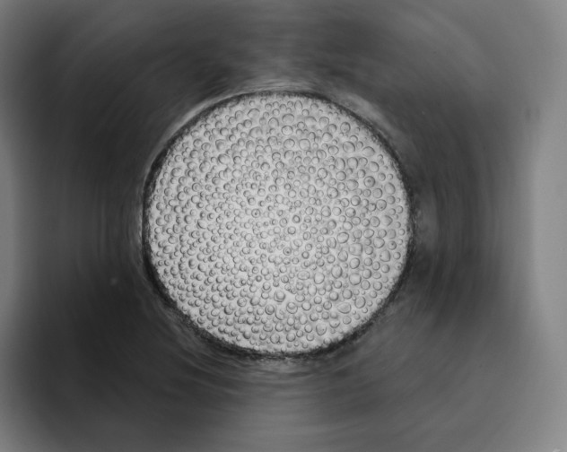 X0000094921220200712271526
