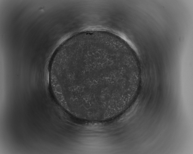 X0000094921221200712271526