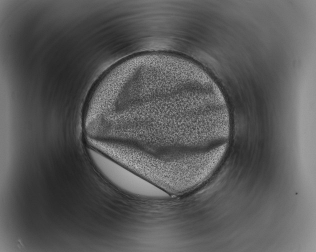 X0000094921226200712271526