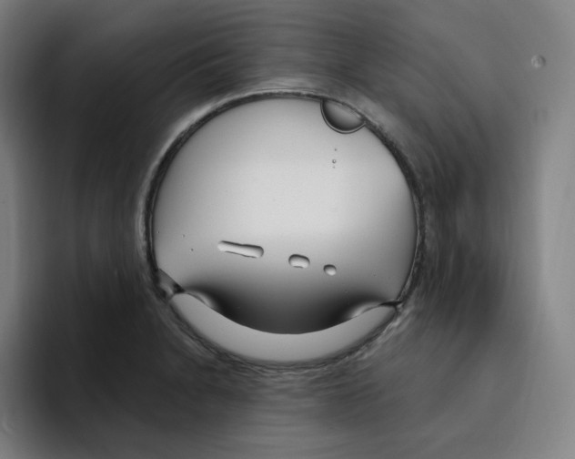 X0000094921230200712271526
