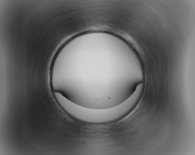 X0000094921232200712271526