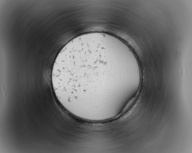 X0000094921233200712271526