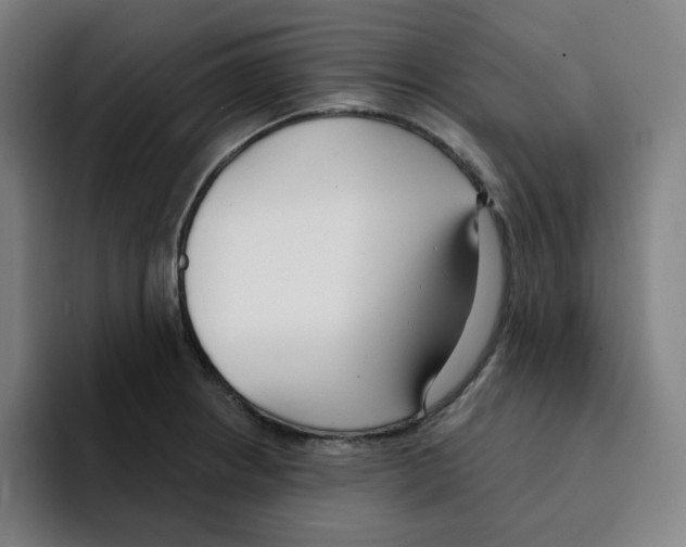 X0000094921234200712271526