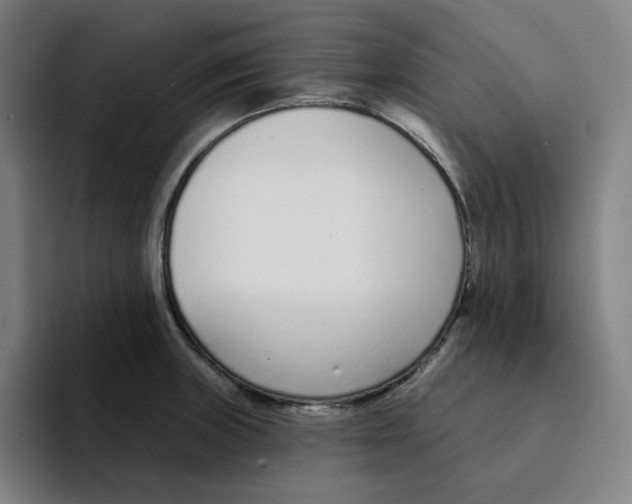 X0000094921235200712271526