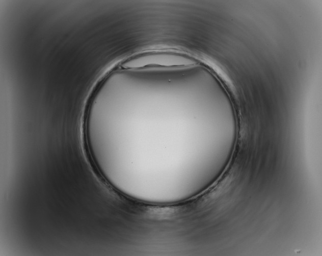 X0000094921237200712271526