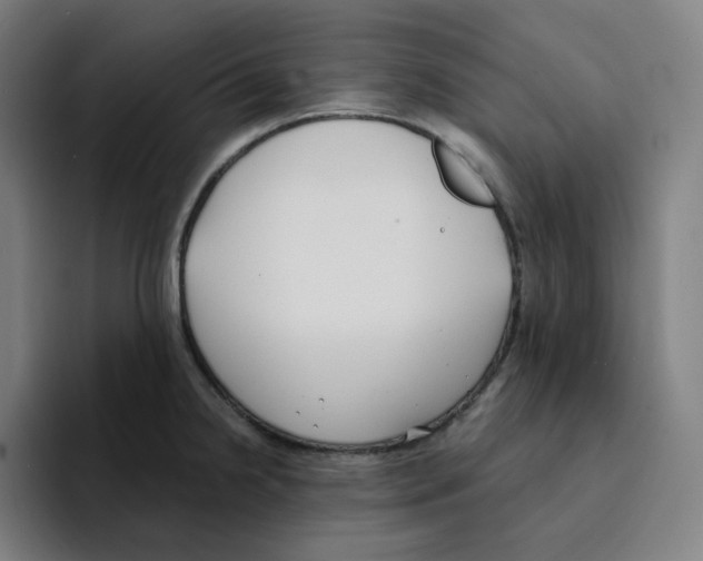 X0000094921238200712271526