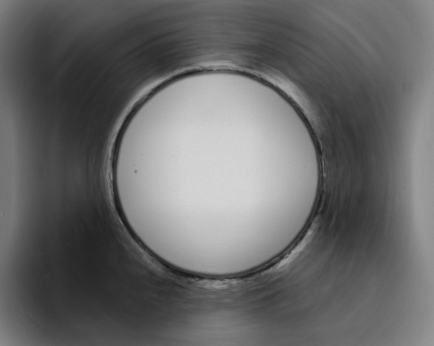 X0000094921240200712271526
