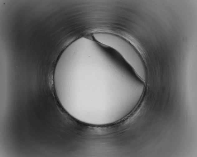 X0000094921241200712271526
