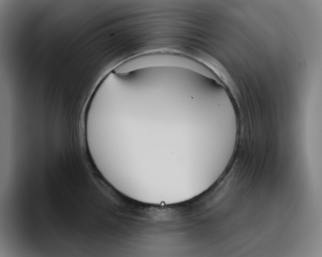 X0000094921242200712271526
