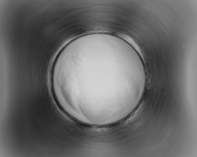 X0000094921243200712271526
