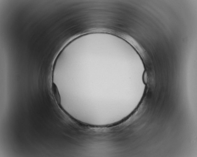 X0000094921244200712271526