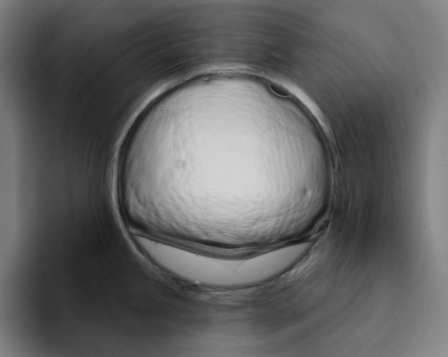 X0000094921245200712271526