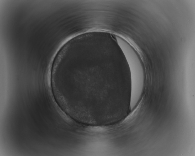 X0000094921246200712271526