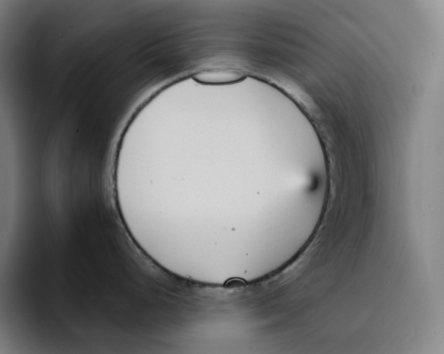 X0000094921248200712271526