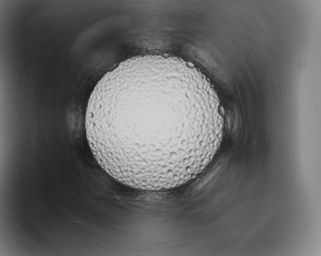 X0000094921251200712271526