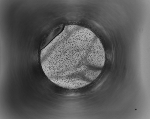 X0000094921252200712271526