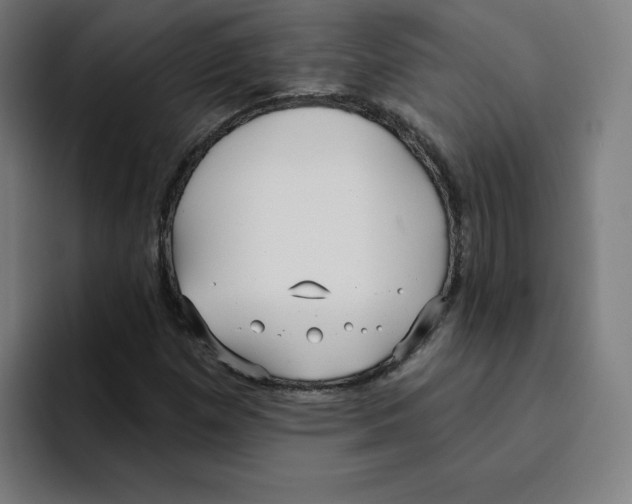 X0000094921257200712271525