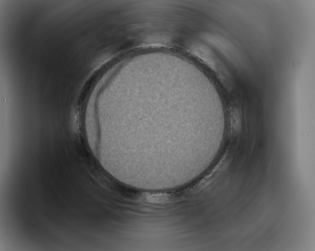 X0000094921258200712271525