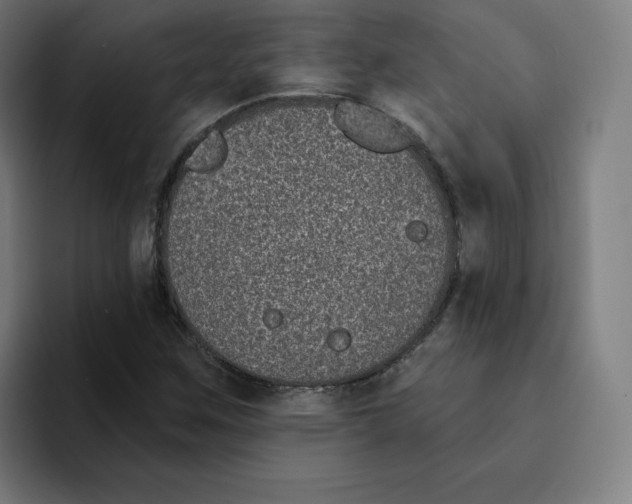 X0000094921259200712271525