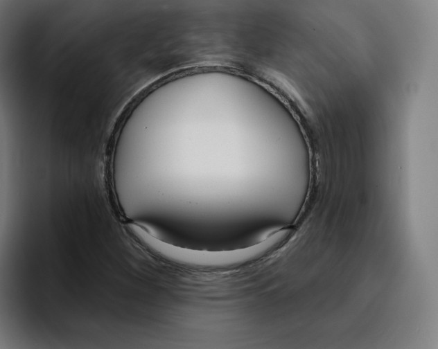 X0000094921260200712271525