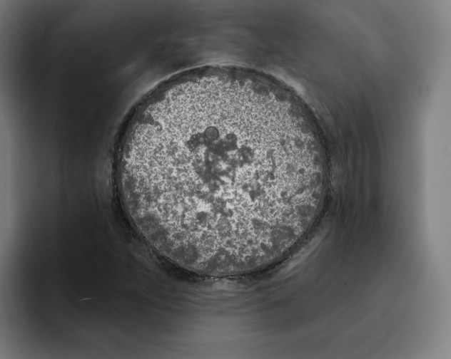 X0000094921263200712271525