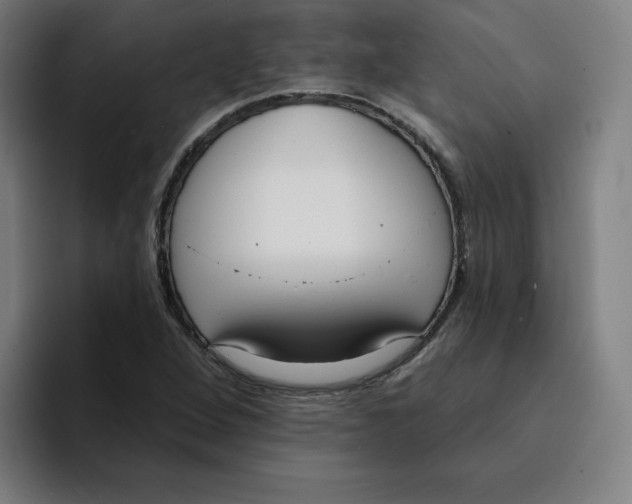 X0000094921264200712271525