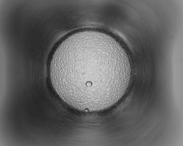 X0000094921267200712271525