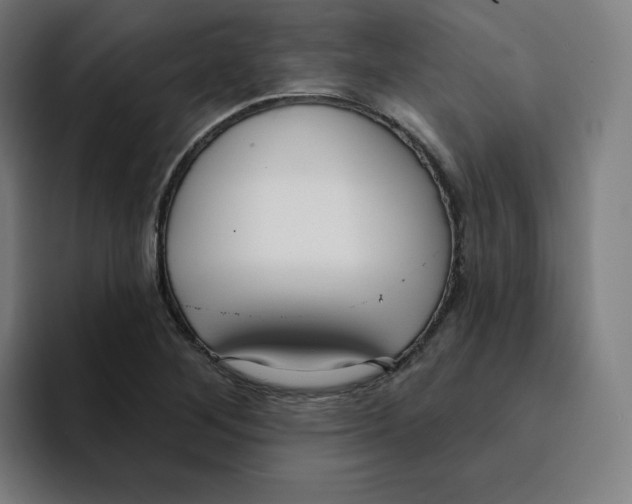 X0000094921268200712271525