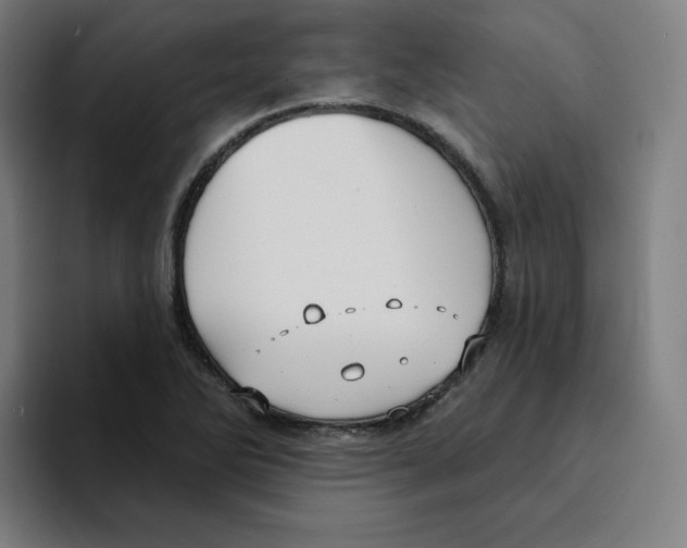 X0000094921270200712271525