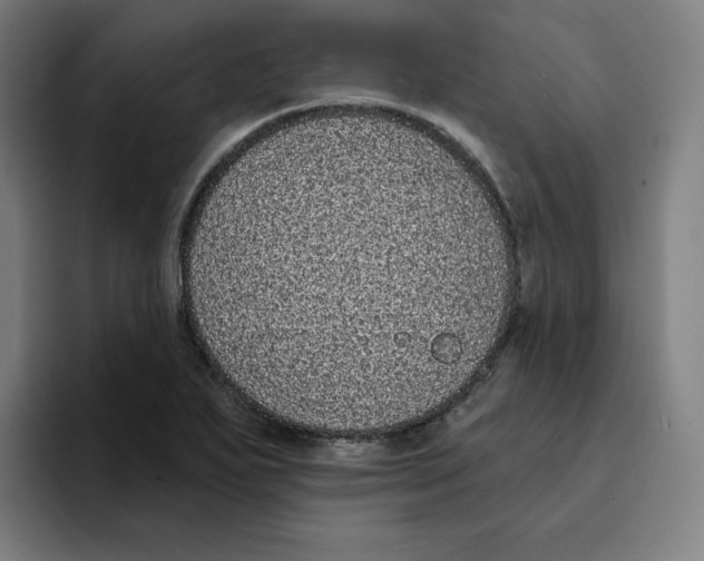 X0000094921271200712271525