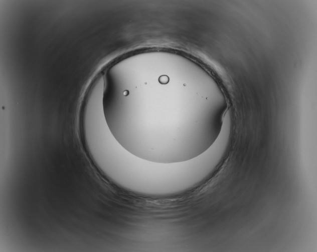 X0000094921272200712271525