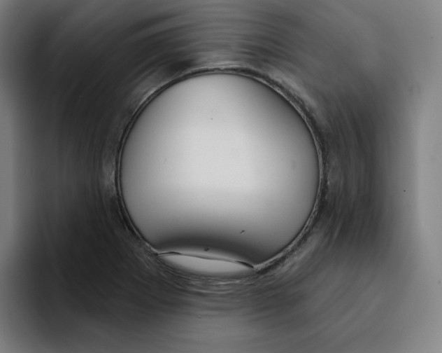 X0000094921273200712271525