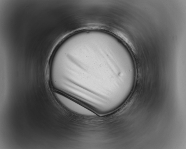 X0000094921275200712271525