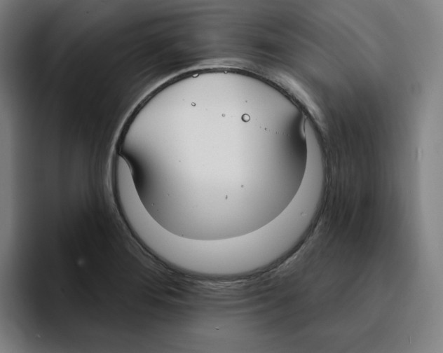 X0000094921276200712271525