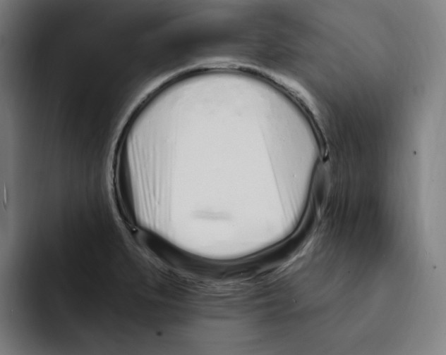 X0000094921279200712271525