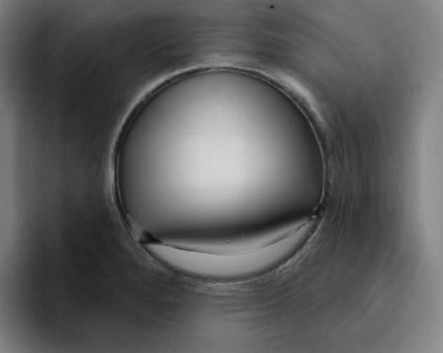 X0000094921280200712271525