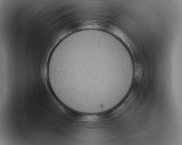 X0000094921282200712271525