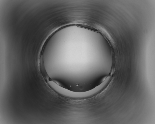 X0000094921284200712271525