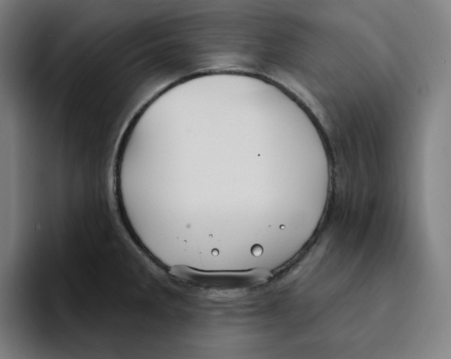 X0000094921285200712271525