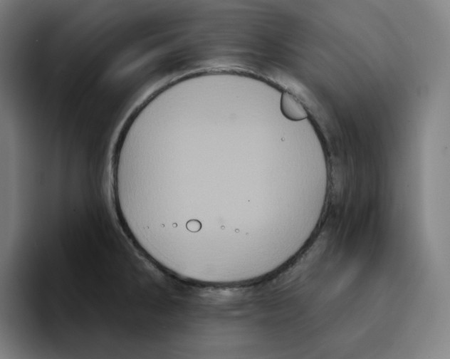 X0000094921286200712271525