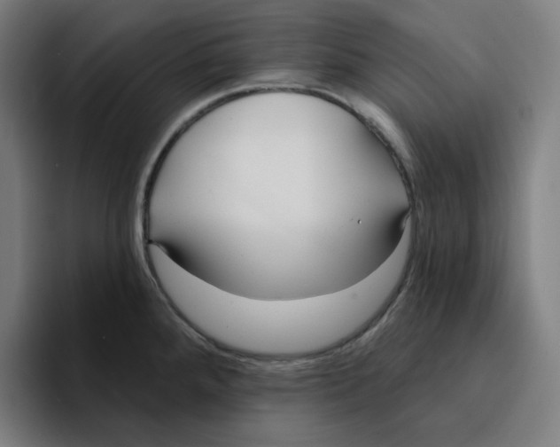 X0000094921288200712271525
